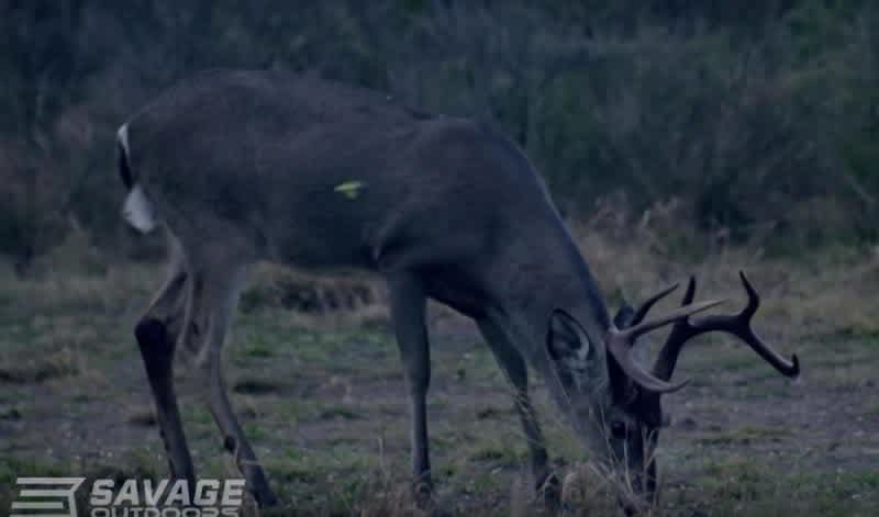 Video: Psyched for Hunting Season? These Slow-Motion Kill Shots Will Fuel Your Fire