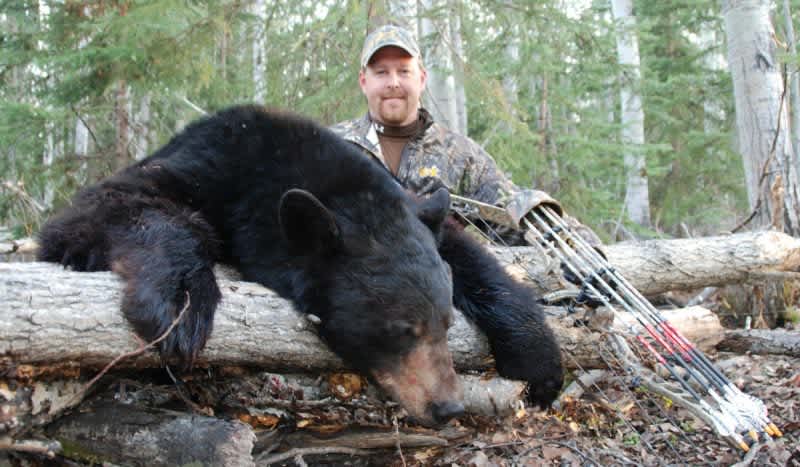 Black Bears: North America’s Spring Big Game