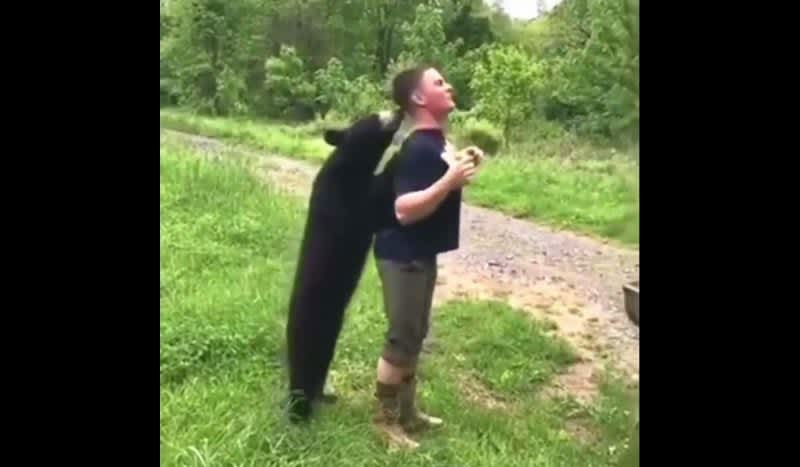Video: Was This Bear Encounter Handled All Wrong?