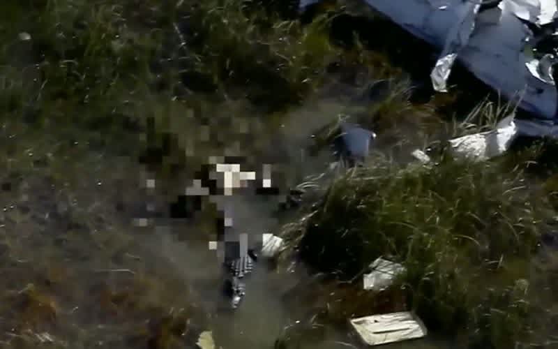 Video: News Chopper Spots Gator Eating Body of Plane Crash Victim in Florida Everglades