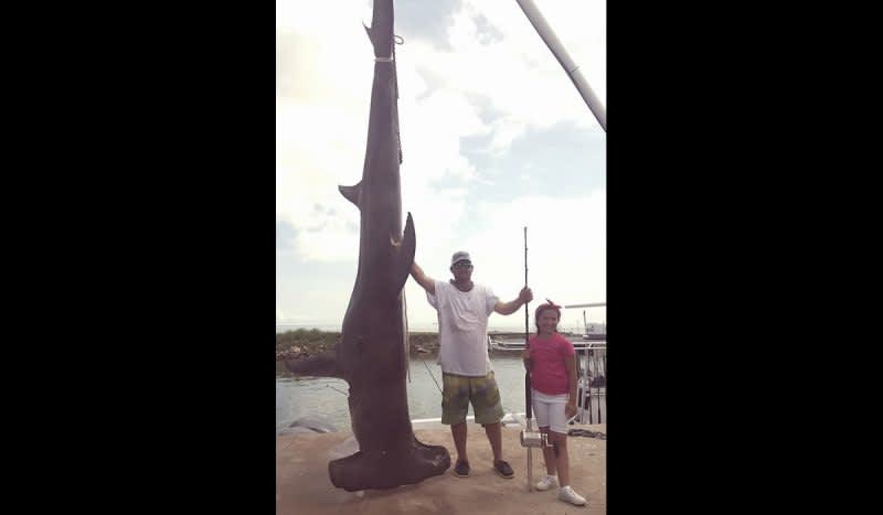 Texas Man Shatters State Record with 1,033-Pound Hammerhead Shark