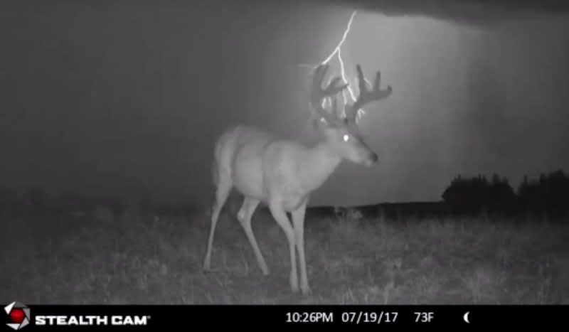 Trail Cam Footage: Thunderstorm Buck Not Fazed By Severe Weather in Background