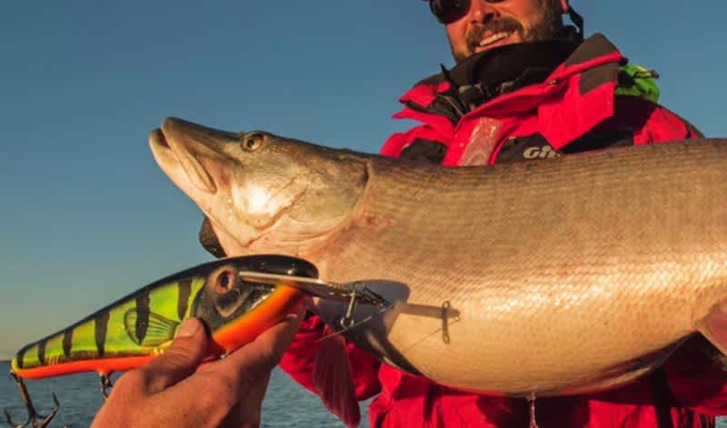 Unique Kickstarter Project: New Muskie Book Promises ‘The Greatest Fishing Stories Ever Told’