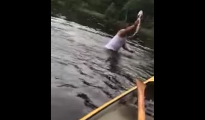 Video: Guy Dives in Lake and Captures Northern Pike in His Bare Hands