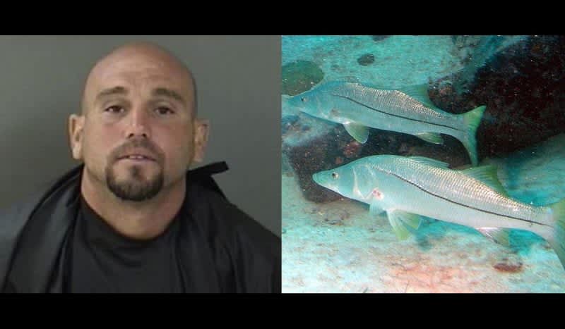 Florida Man Brings Fish Back to Life to Avoid Jail Time