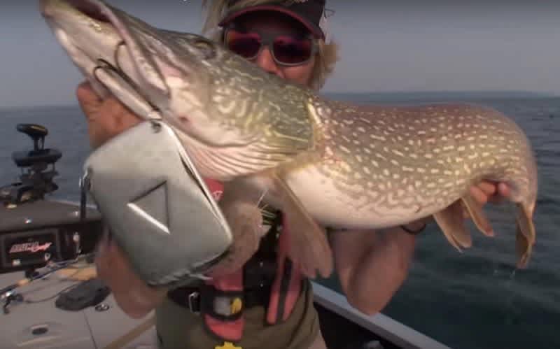 Crazy Video: Trophy Pike Caught on a Lure You Have to See to Believe