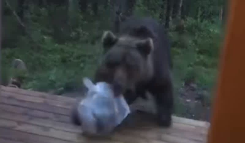 Video: Finnish Man Hilariously Shouts at a Bear to Scare It Off His Porch