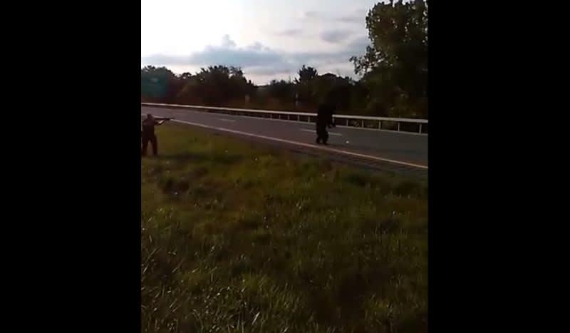 GRAPHIC VIDEO: Police Decide to Shoot Injured Bear on Highway After Being Hit by Car