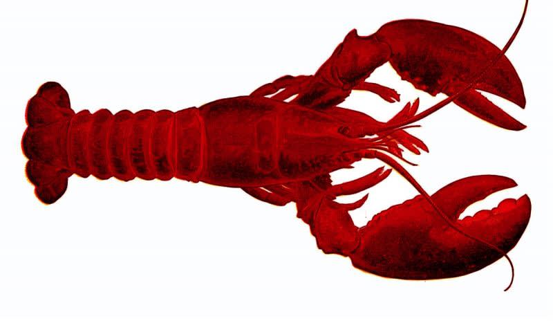 Maine Senator Wants a Lobster Emoji; Faces Tough Battle Against ‘Sad Poop Face’