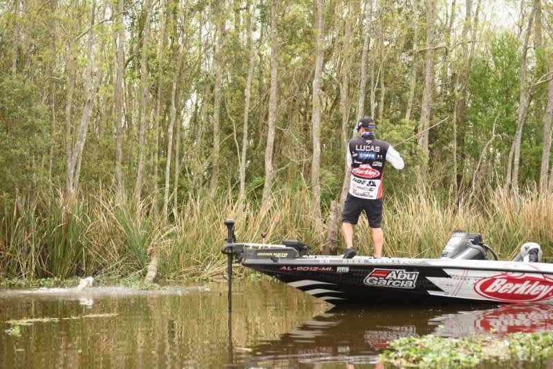 5 Baits for Slugging It Out with Autumn’s Shallow-Water Bass