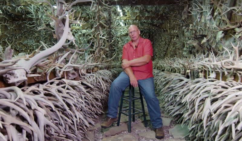 Meet Jim “Antlerman” Phillips, The Man Who Collected 16,000 Shed Antlers