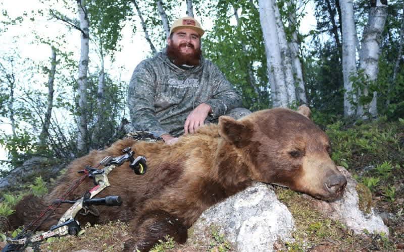 Video: Hushin and ShedCrazy Team Up to Hunt for a Cinnamon Color-Phase Bear