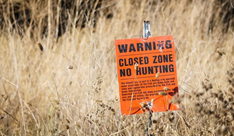 EHD Kills Hundreds of Deer in Tennessee Just Before Season Opener