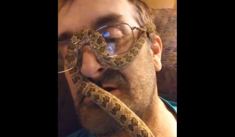 Video: Insane Man Lets Rattlesnake Treat His Face Like a Jungle Gym