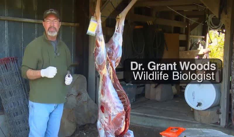 Whitetail Wednesday Video: An Easy Method to Process Deer — or Elk!