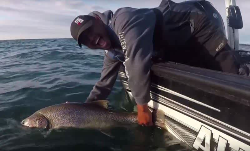 Video: Lake Trout Fall Feeding Frenzy