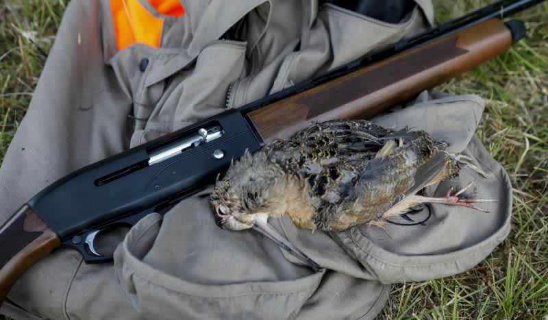 Field Test: Pursuing Wisconsin Woodcock with Mossberg’s New SA-28