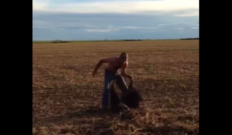 Video: Have You Ever Seen a Guy Get in a Fight with an Anteater Before?