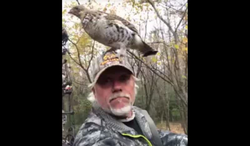 Video: Ruffed Grouse Hilariously Interrupts Deer Season for These Two Hunters