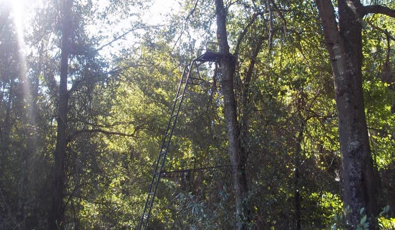 Tragic News: Deer Hunter Found Dead in Treestand with ‘Close-Range Gun Shot Wound’