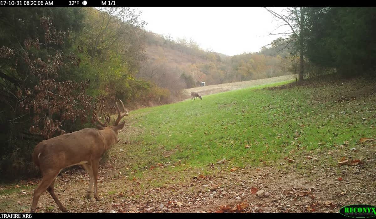 Whitetail Wednesday: 2 Proven Tactics for Targeting Rutting Bucks