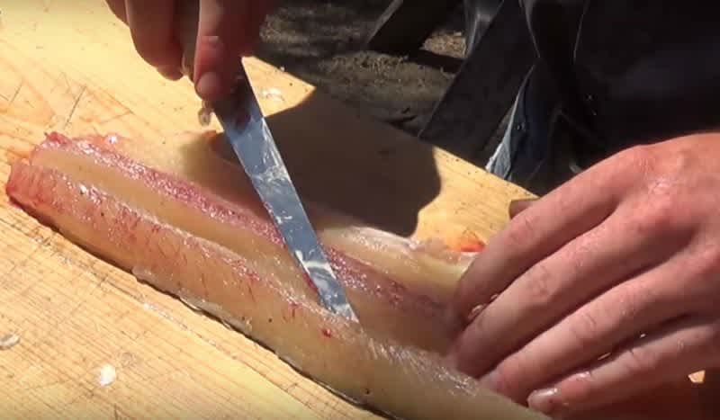 Video: Best Method for Removing a Pike’s Y-Bones
