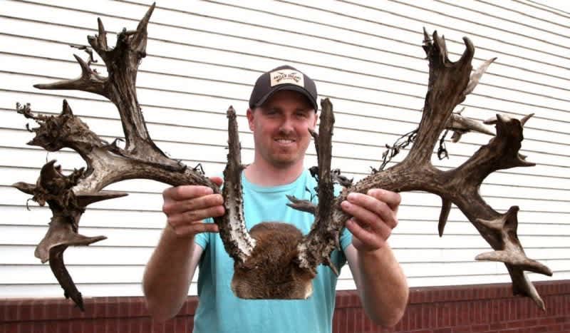 Boomer Sooner! 45-Point Boone and Crockett Buck Found Hung Up in a Fence in Oklahoma