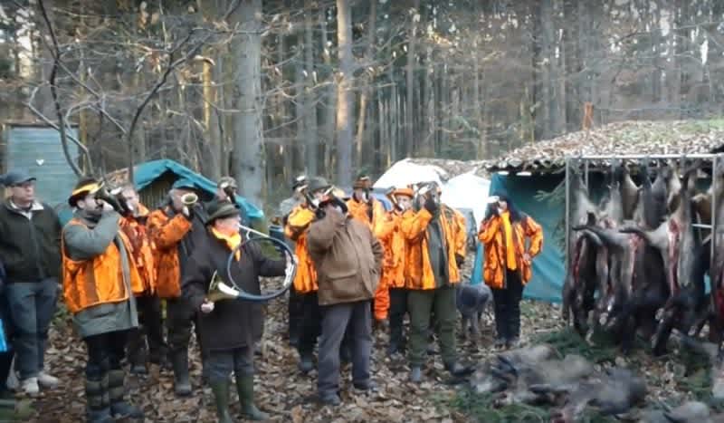 Friday Flashback Video: Traditional Horn Ceremony Celebrating a German Driven Hunt