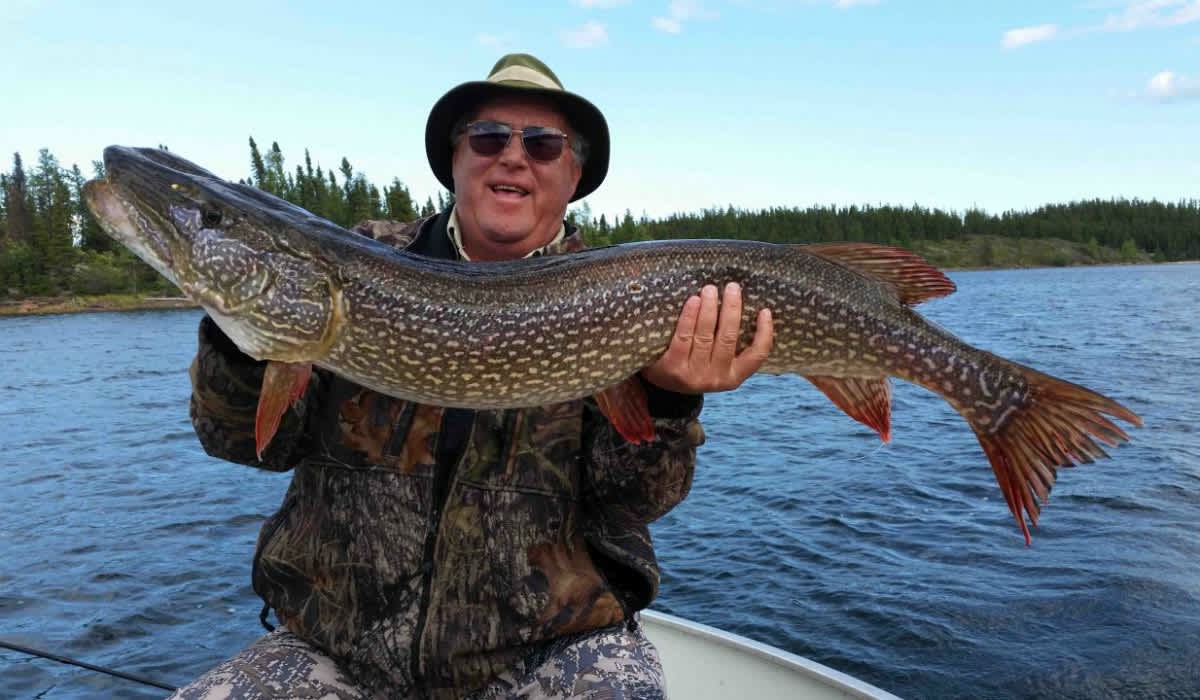 Saskatchewan’s Hot Half-Dozen Lakes for Trophy Pike