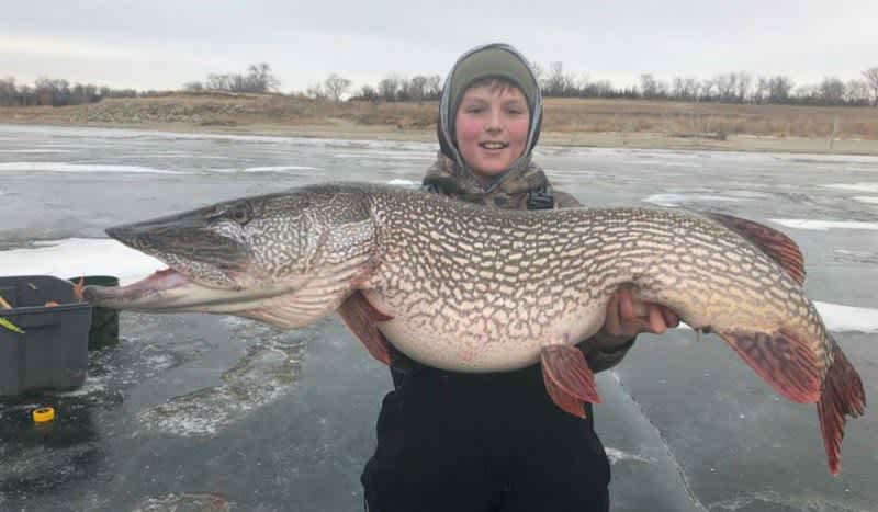 Monster 46-Inch Pike Pulled through the Ice - Montana Hunting and