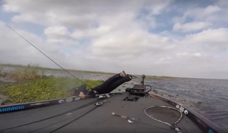 Video: Pro Angler’s Bass Catch Goes Viral During FLW Tour Tournament