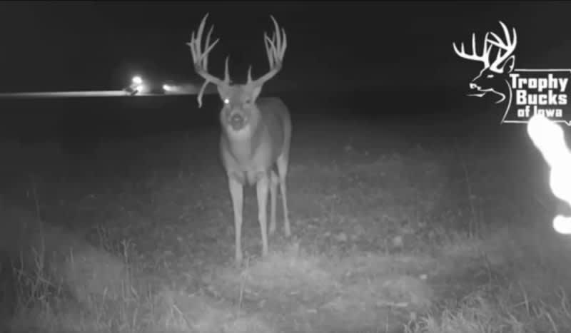 The Combine Buck: One of the Best Trail Cam Videos from 2017