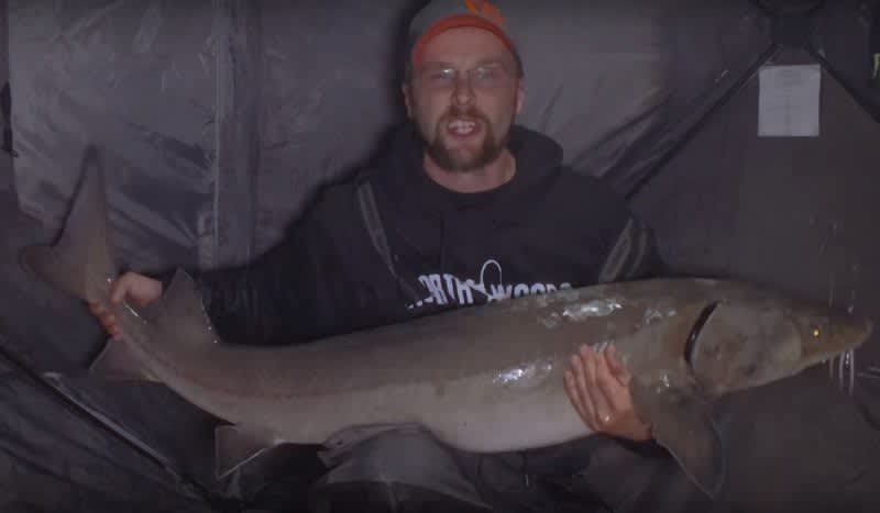 Video: Pulling GIANT Lake Sturgeon Through the Ice on the St. Croix River