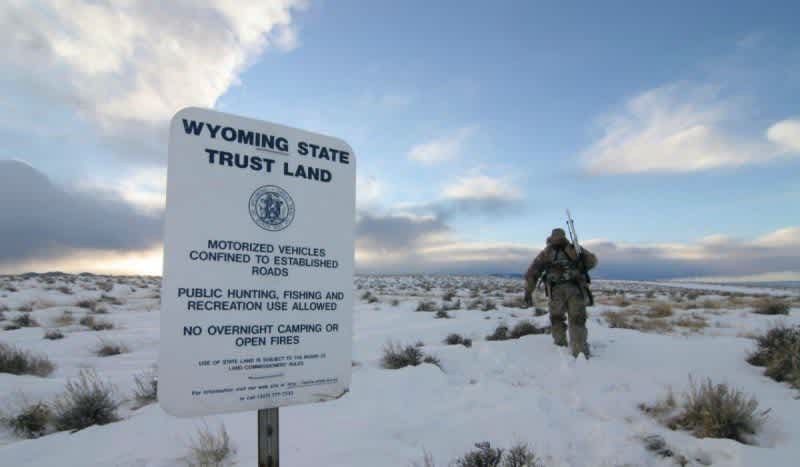 Kayser on Coyotes: Public-Land Pointers for Success