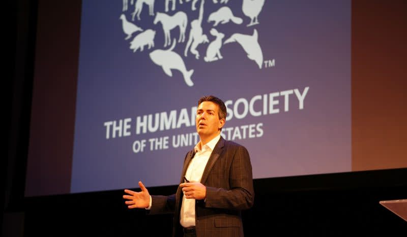 Humane Society CEO Under Investigation for Sexual Harassment Allegations