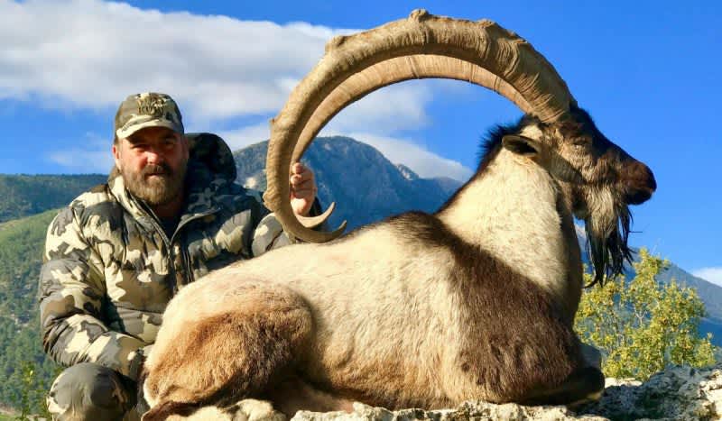 Bezoar Ibex in Turkey (Part 1); Way More than a Hunt