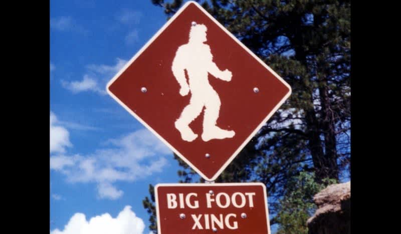 SoCal Woman Filed Suit Against California for Not Recognizing the Existence of Bigfoot as a Species