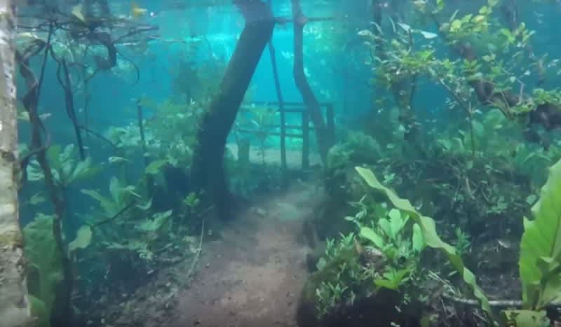 No, This isn’t an Instagram Filter, This Video of a Submerged Hiking Trail was Filmed Underwater
