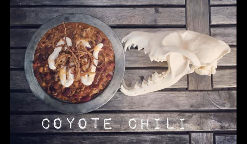 Here’s a Delicious Recipe for Coyote Firecracker Chili; Would You Try a Bite?