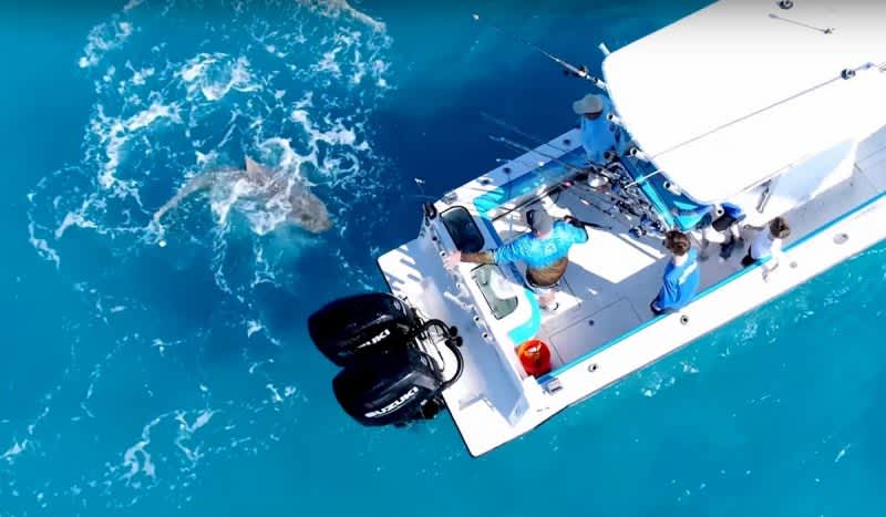 Video: BlacktipH Captures Angry Shark Attack Boat Seven Times
