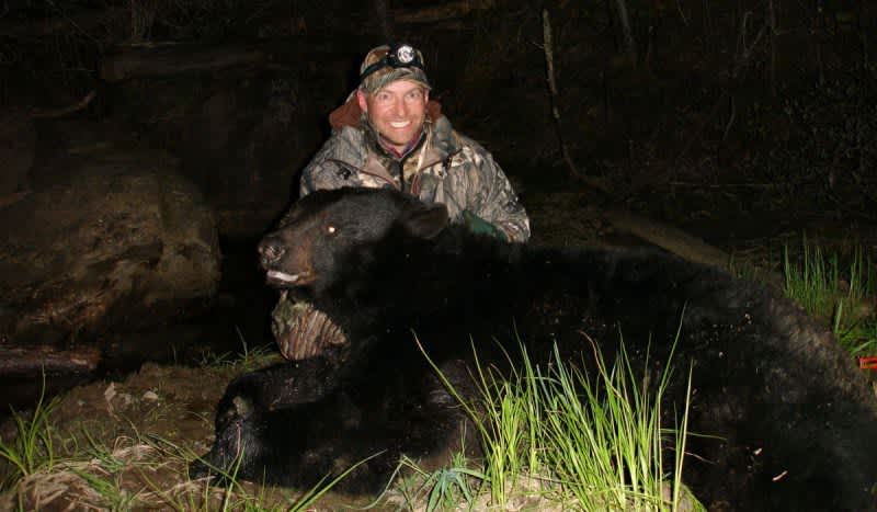Manitoba Black Bears — Big Game Thrills During Spring or Fall