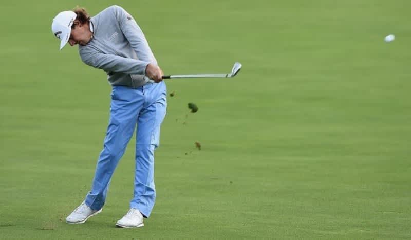PETA Tells PGA Golfer to Practice More After Hitting Bird With Tee Shot