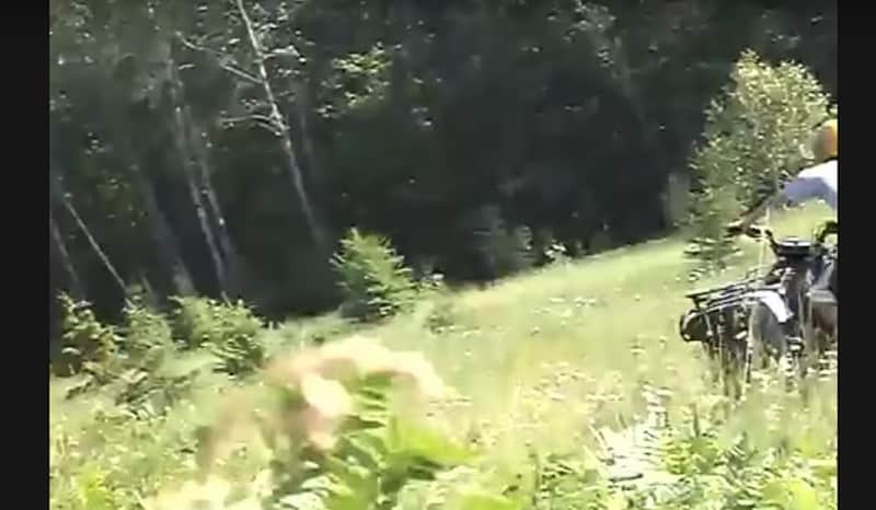 Video: Bigfoot Photobombs Michigan Man on ATV