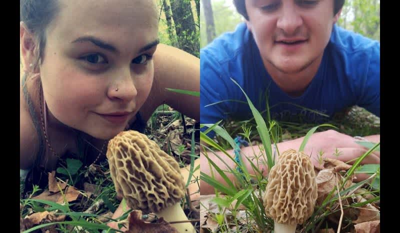 Police Officer Shows Up After Maryland Couple Posts Photos of Morel Mushrooms on Facebook