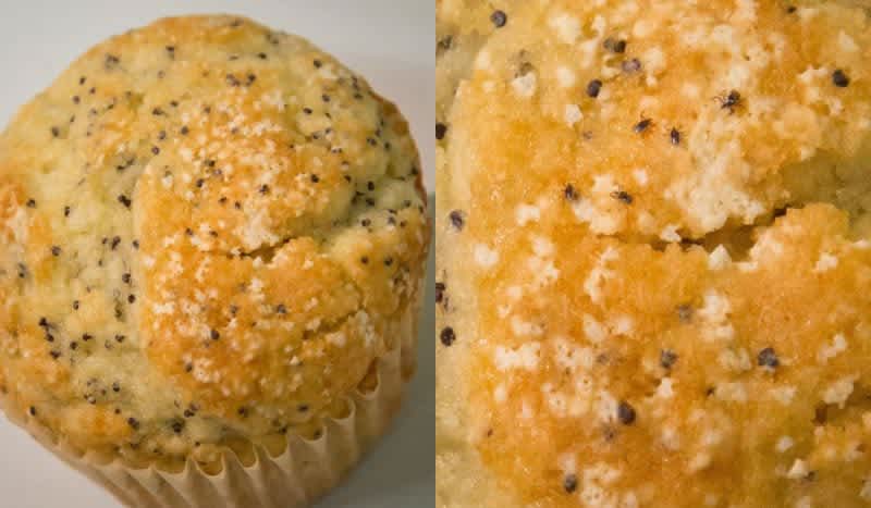 The CDC Posted a Photo of 5 Ticks Hiding on a Poppy Seed Muffin, Can You Spot Them?