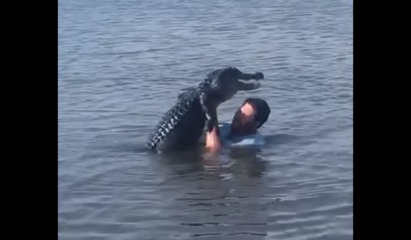 We Don’t Advise It, But Here’s How You Befriend An Alligator