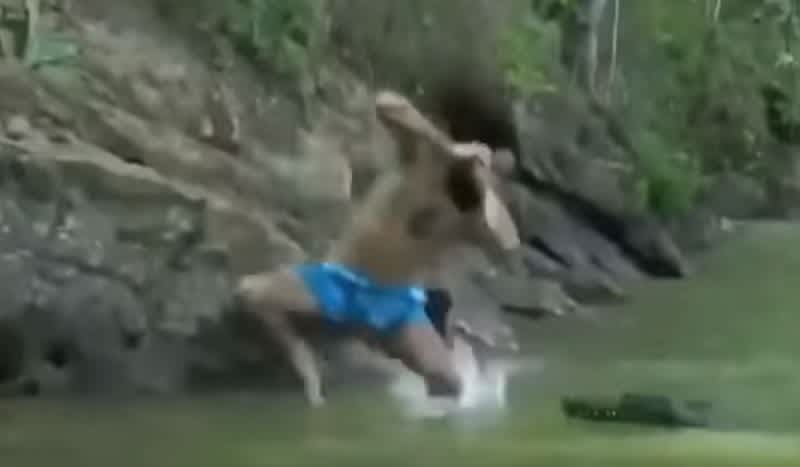 Video: Man Gives Alligator the Old Flying Elbow to ‘Save’ His Friend