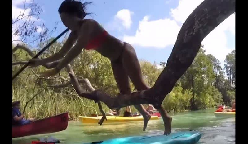 Video: Funny Paddleboard Fails That Will Have You Falling Out of Your Chair
