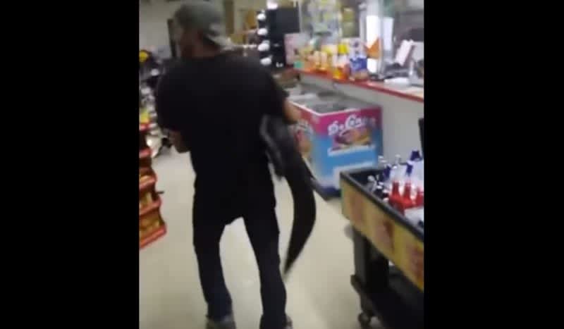 Video: Florida Man Brings Gator Along For a Beer Run