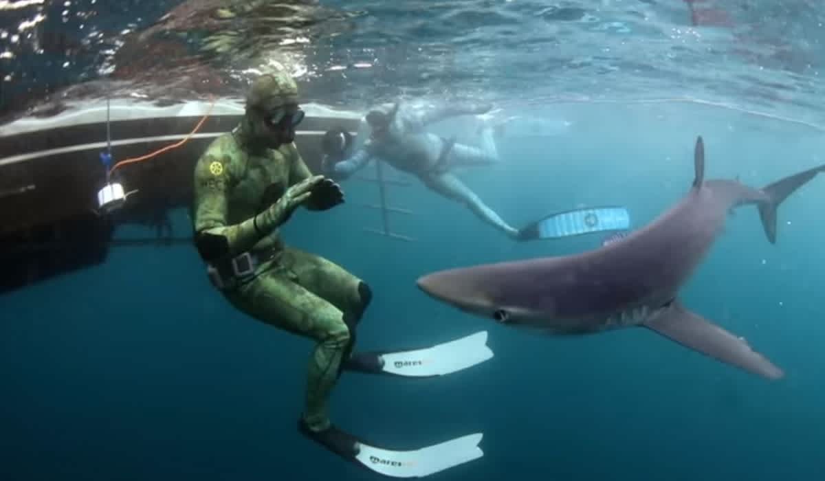 Celebrities Face Off With The Ocean’s Top Predators During Discovery’s ‘Shark Week’